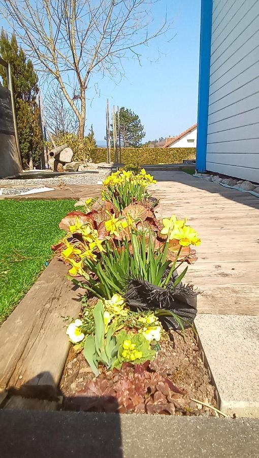 Logement De Charme Coinches Bagian luar foto